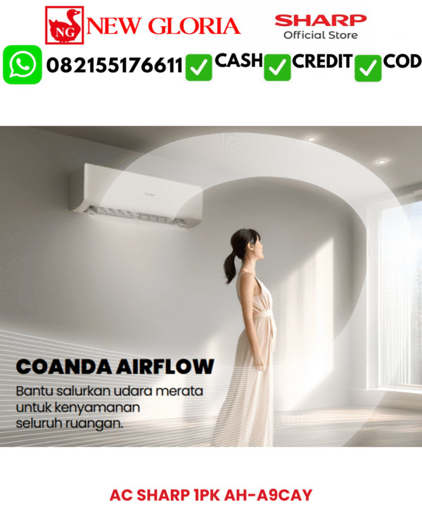 AC-SHARP-1PK-AH-A9CAY3.png AC SHARP 1PK AH-A9CAY