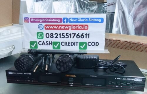 MIC WIRELESS BMB WT-7600